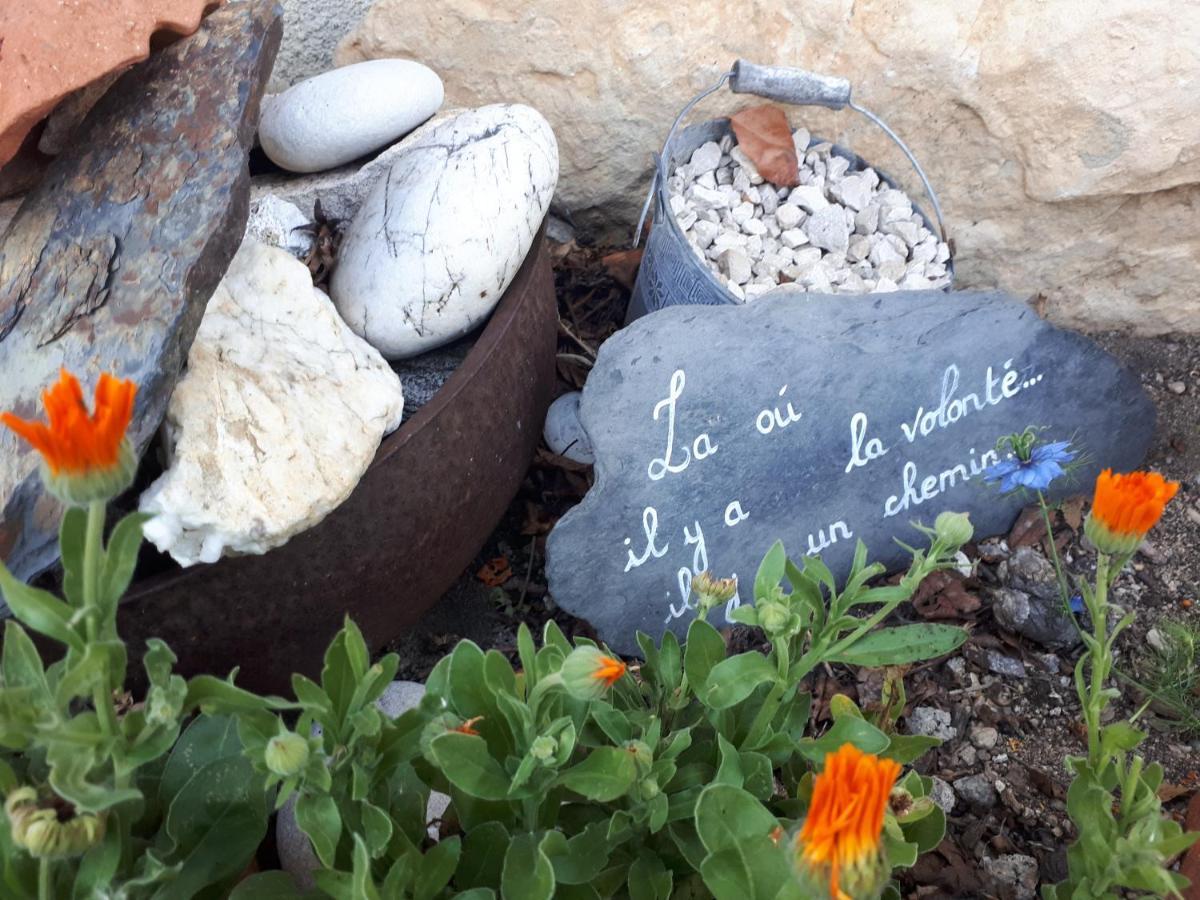 L'Orme-Vial Panzió Saint-Galmier Kültér fotó
